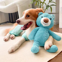 1pc Blue Bear Dog Plush Voice Grinding Interactive Pet Toy